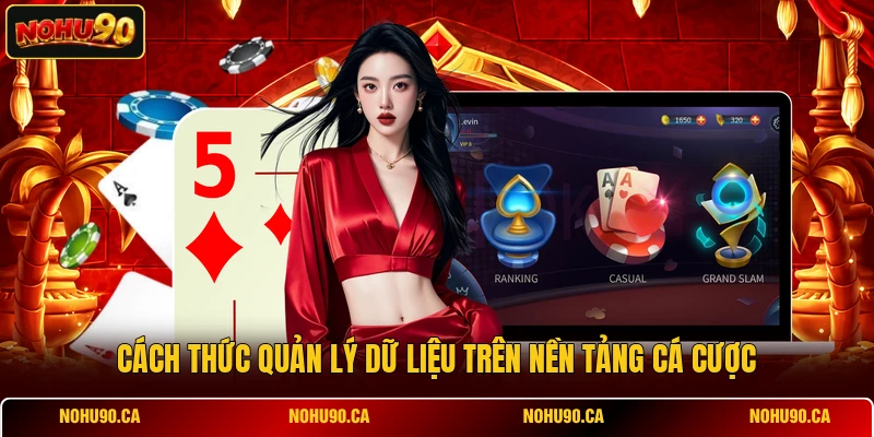 Cách thức quản lý dữ liệu trên nền tảng cá cược Cách thức quản lý dữ liệu trên nền tảng cá cược
